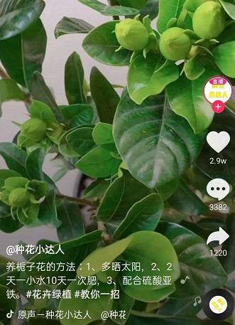 �������၆�F���Ĳ���֮�x���S�ҿ���(li��n)ϵ�Ԓ��13838587319 �O��(j��ng)��