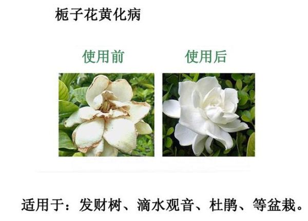 ����ʩ�ʲ������၆�F���Ч��������ԃ�Ԓ13838587319